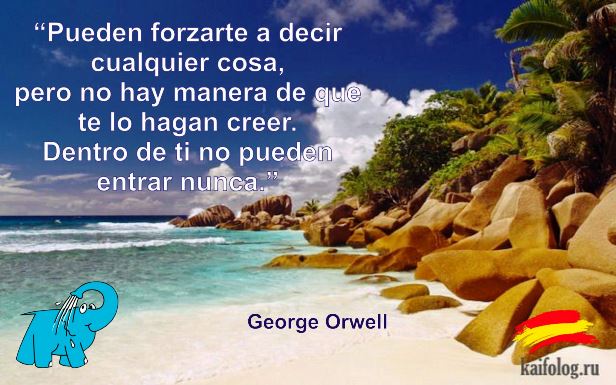 Lo característico de la vida actual no son la inseguridad y la crueldad, sino el desasosiego y la pobreza.